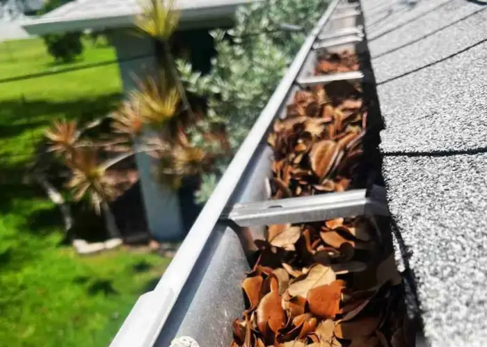 Loganville gutter cleaning home page